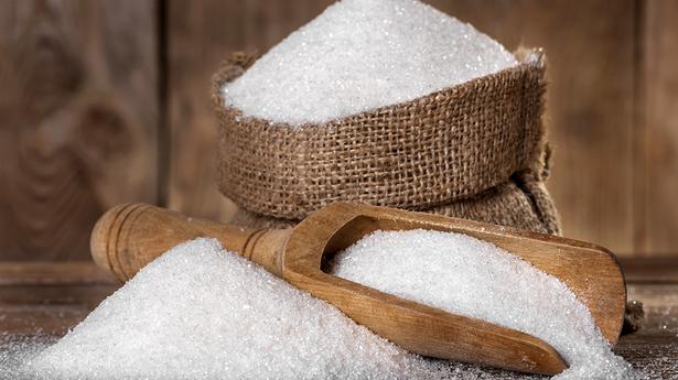 Sugar production to increase next season