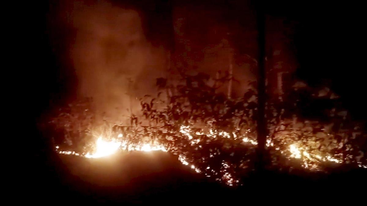 Indian Army puts out forest fire in Himachal Pradesh's Kasauli