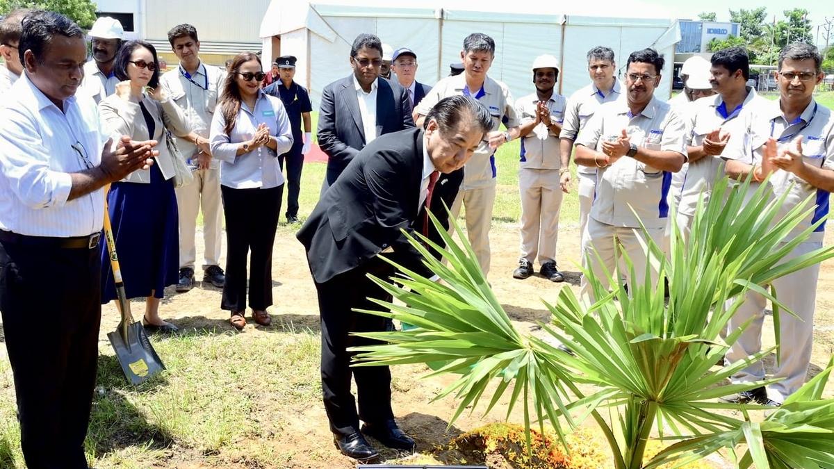 10,000 palmyra trees to dot Pulicat Lake region in Tirupati