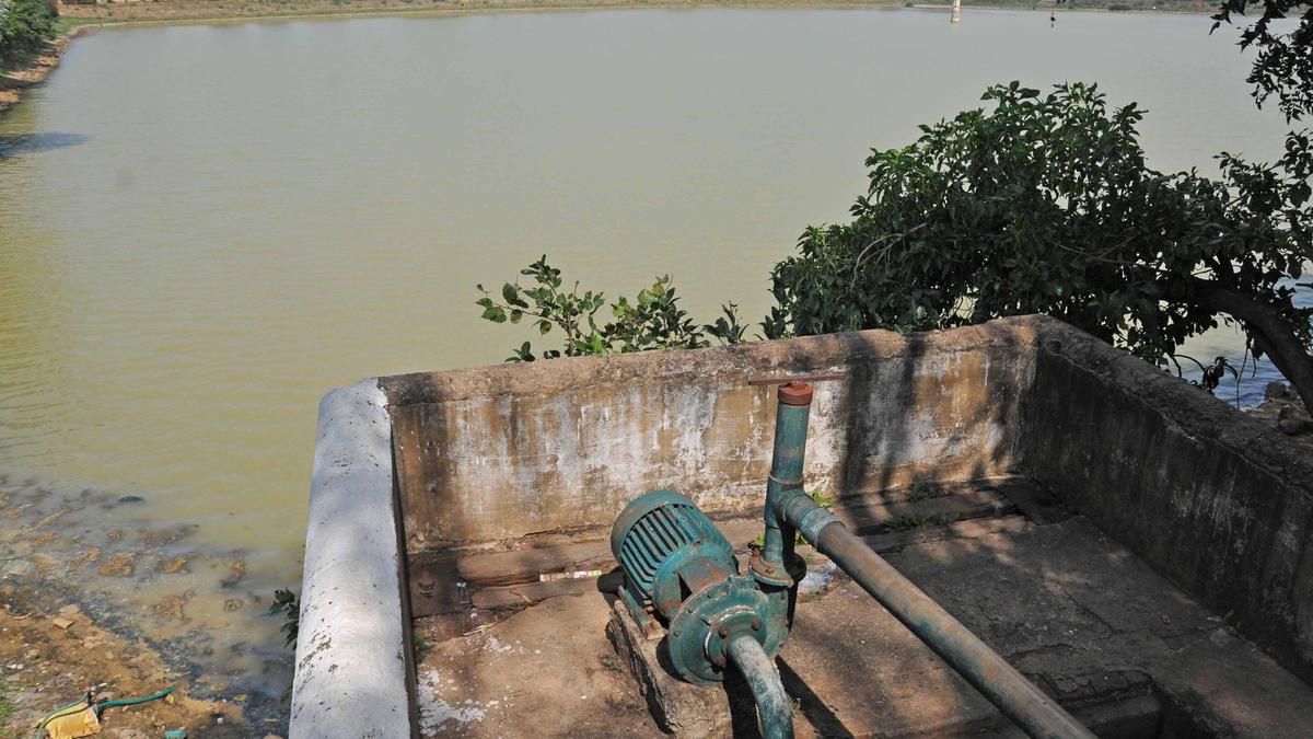 ₹5-crore project launched to develop Pudukulam tank in Pudukottai
