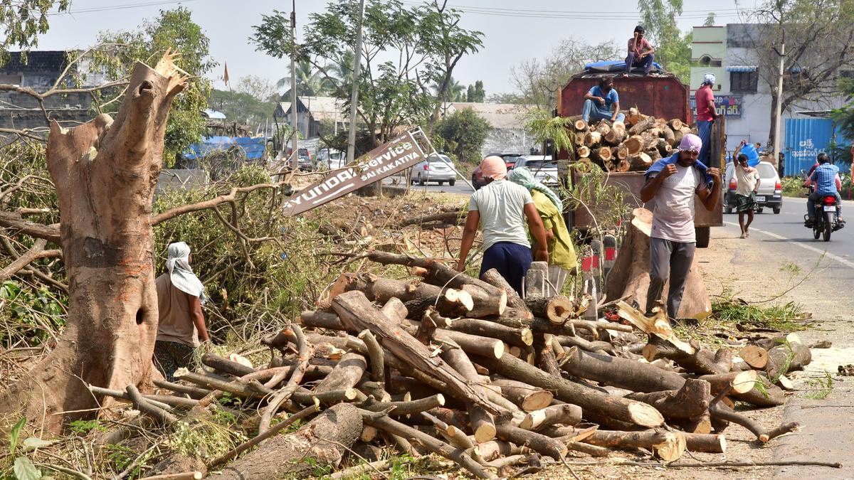 Telangana tops the country in deforestation by permitting axing of over 12 lakh trees by 2020