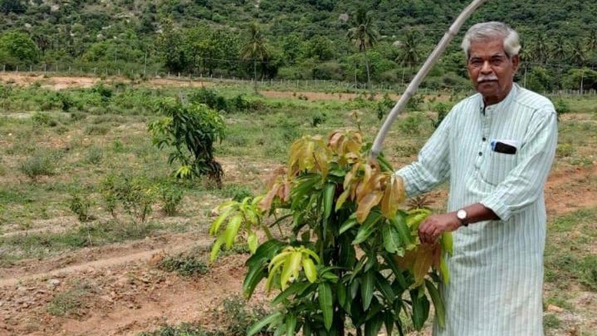 Sowing the seed of success on barren land