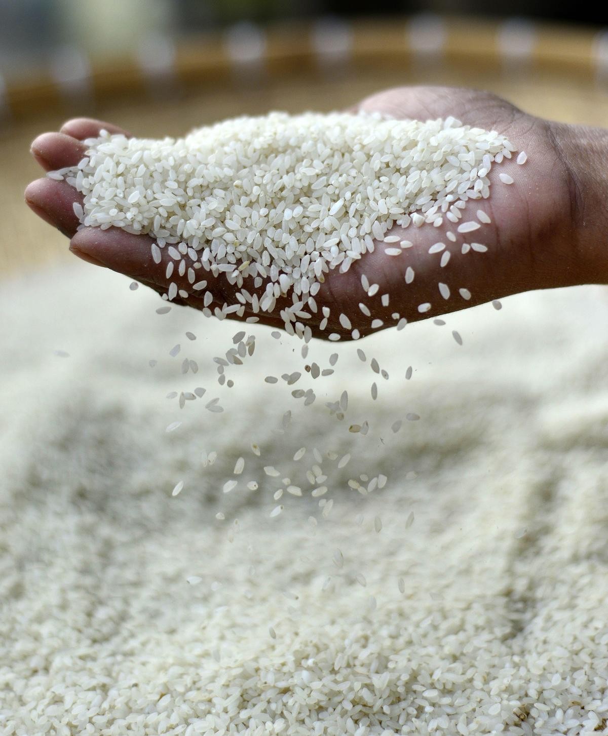 Joha rice Joha rice