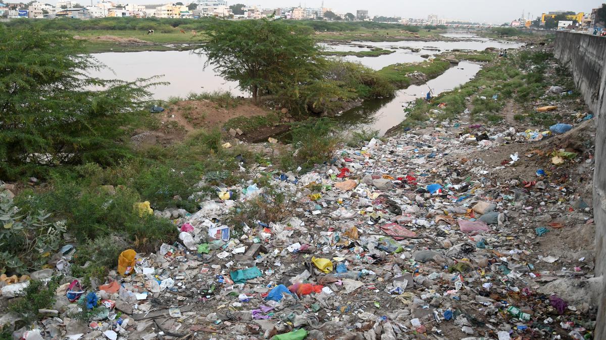 Waterbody conservation activists call for authorities to prevent dumping, burning of waste along Vaigai bank