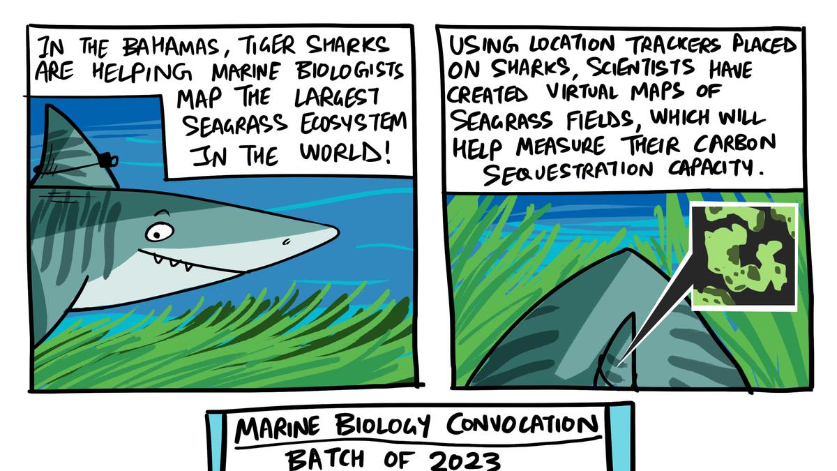 Green Humour by Rohan Chakravarty