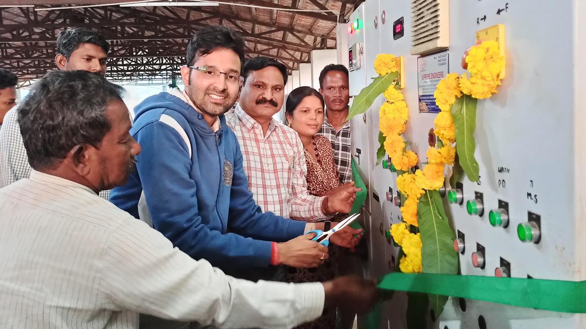 Pulping of Araku coffee for 2024-25 begins at A.P.’s Chintapalli