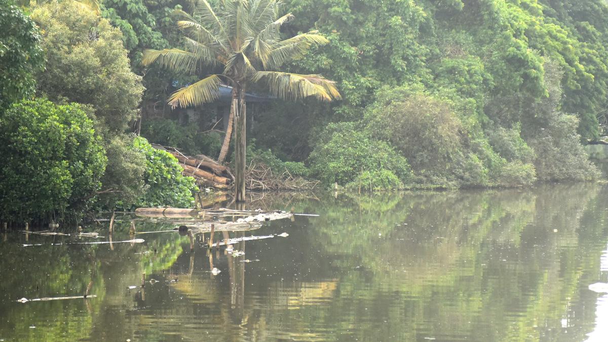 Officials colluding with river encroachers in Kozhikode, alleges committee
