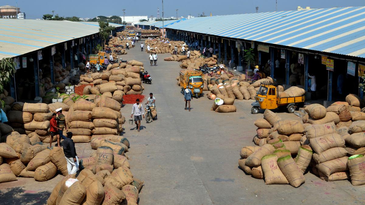 Dasaripalem on the outskirts of Guntur to be new destination of chilli market yard