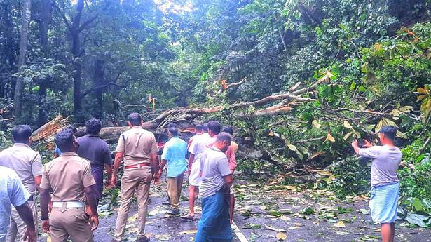 Swollen rivers, landslips cause for concern in Kozhikode