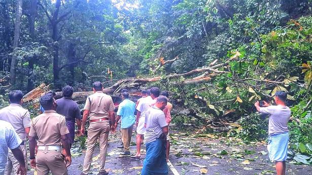 Swollen rivers, landslips cause for concern in Kozhikode