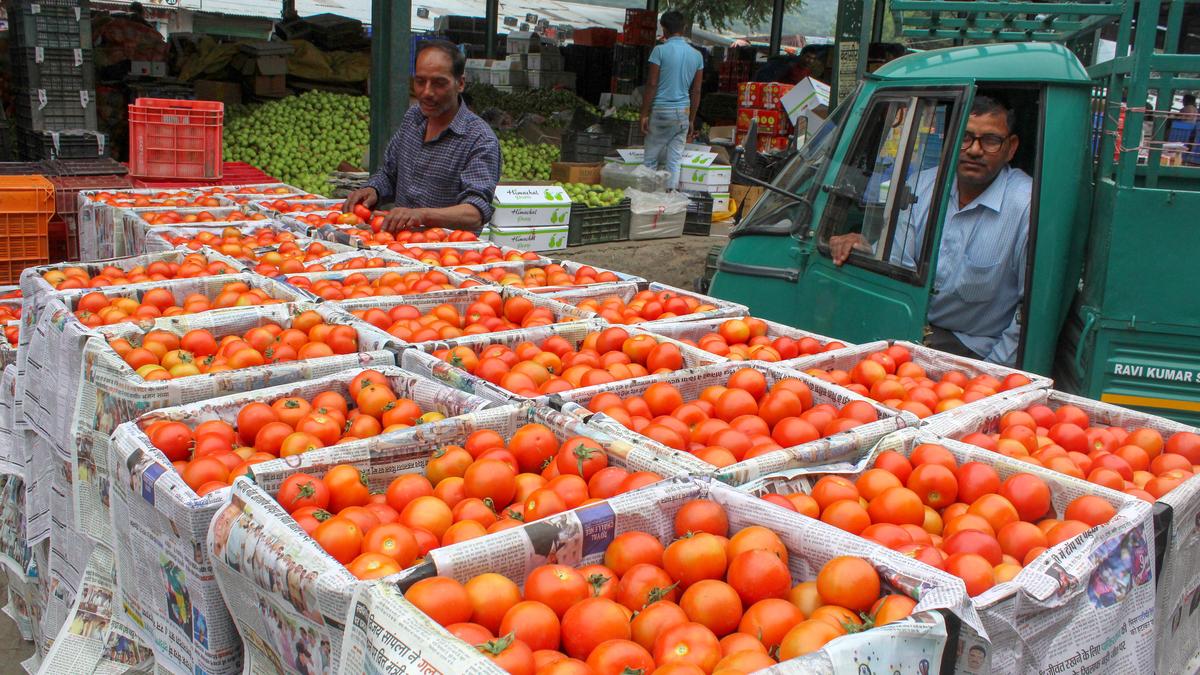 Wholesale price inflation rises to 3.36% in June, highest in 16 months