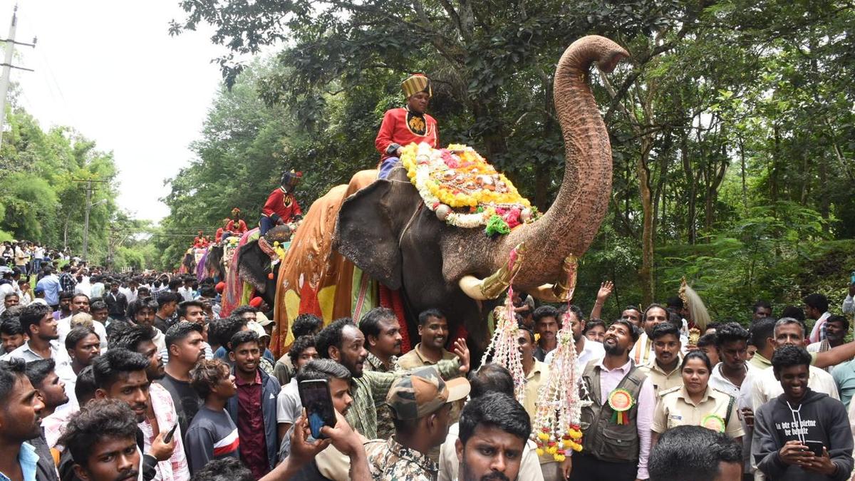 Mysuru Dasara 2025: Gajapayana flagged off near Nagarahole forest