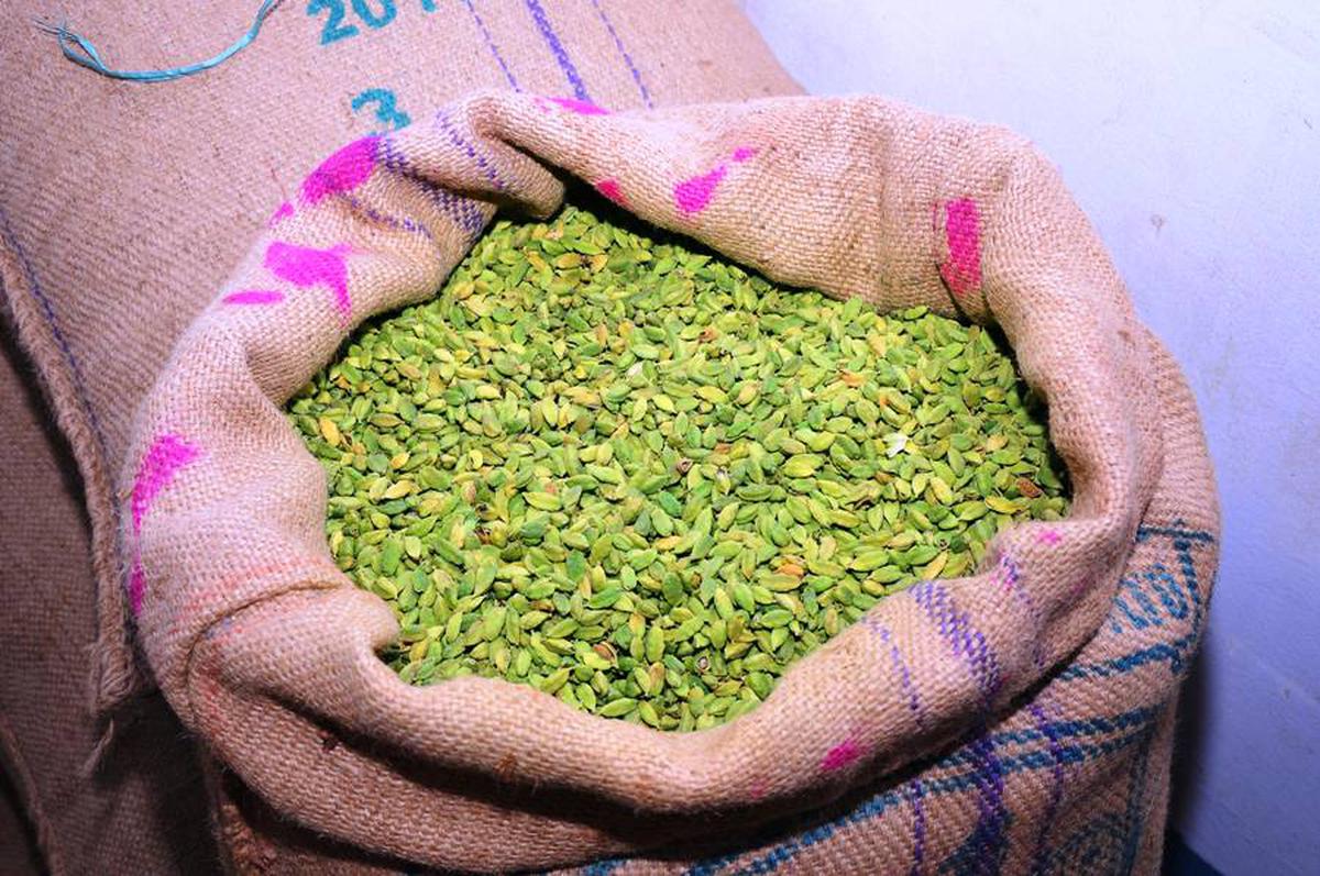 Dried cardamom is kept in the shop at Kumili.