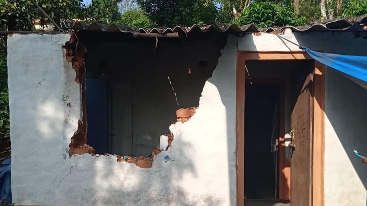 Forest department drives away elephants damaging houses in Pandalur