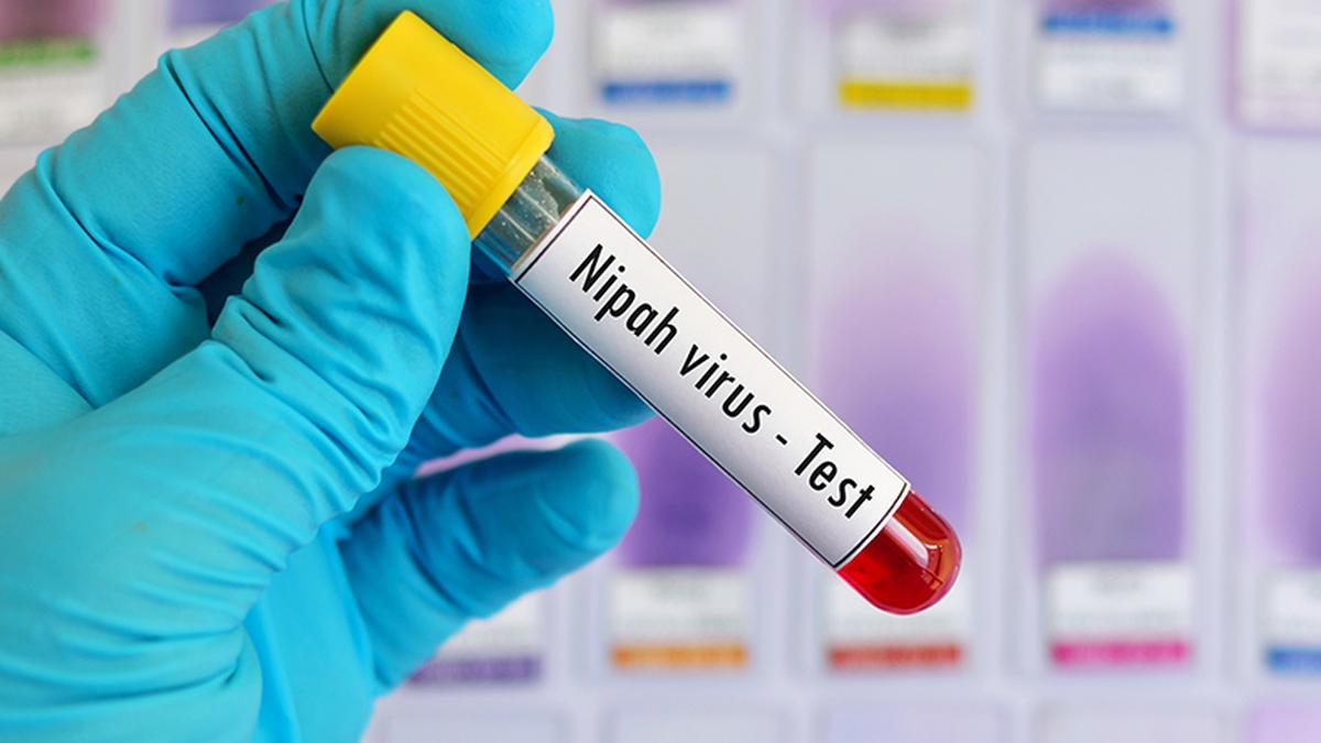 NIV teams to arrive in Kerala following Nipah confirmation; virus is Bangladesh variant: Health Minister