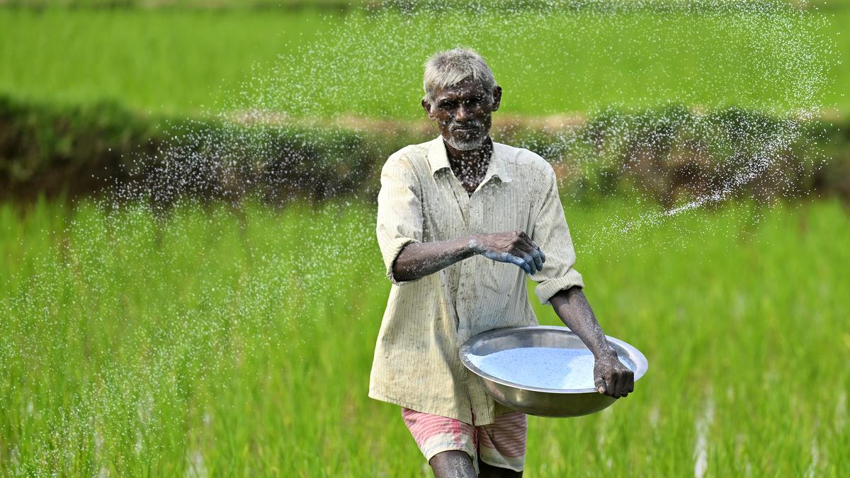 An additional 1.17 lakh MT of urea for Telangana in September