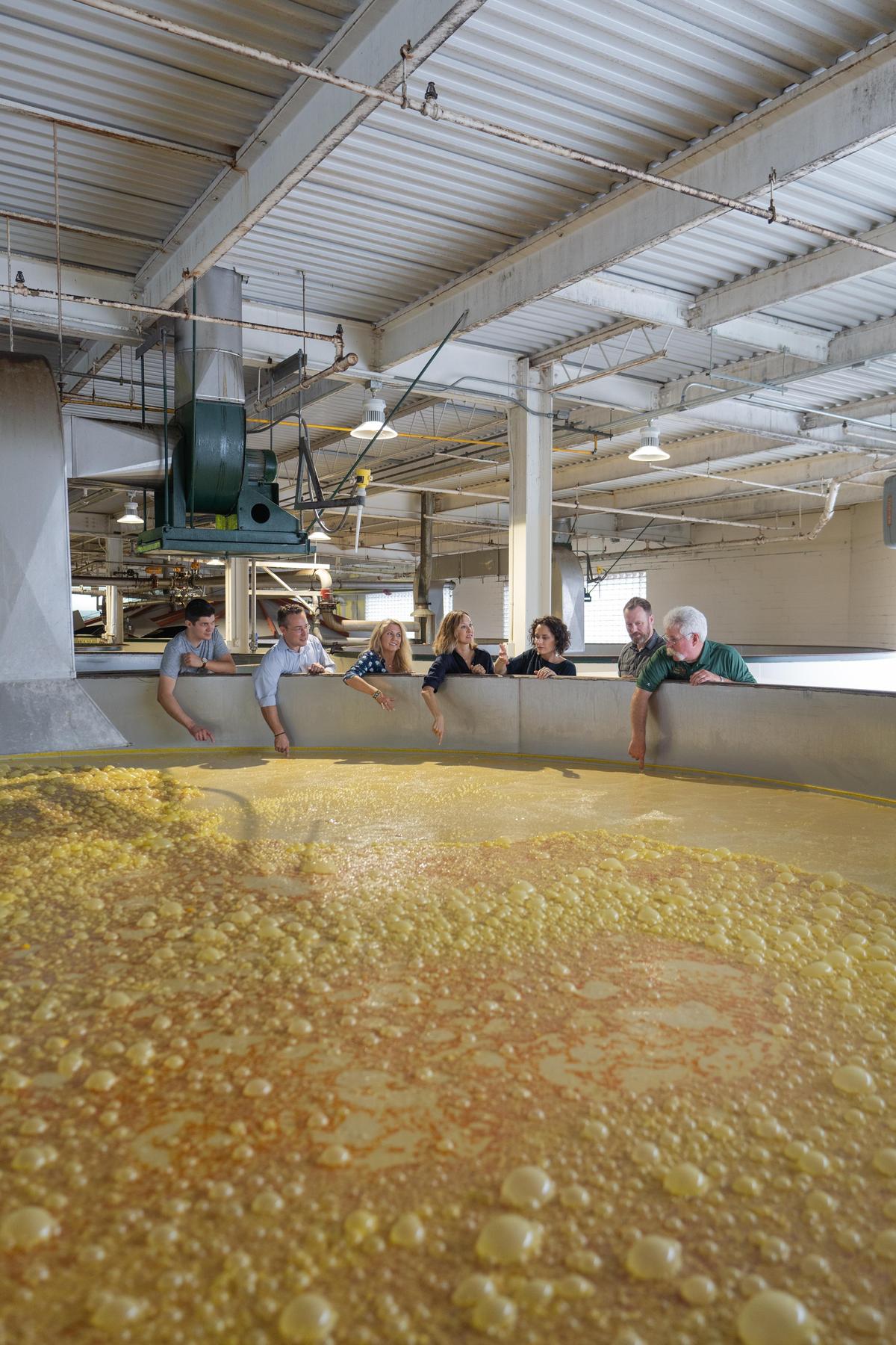 A picture of a Buffalo Trace Distillery tour in the mash intended for media kit usage. Buffalo Trace Distillery, Louisville A picture of a Buffalo Trace Distillery tour in the mash intended for media kit usage. Buffalo Trace Distillery, Louisville