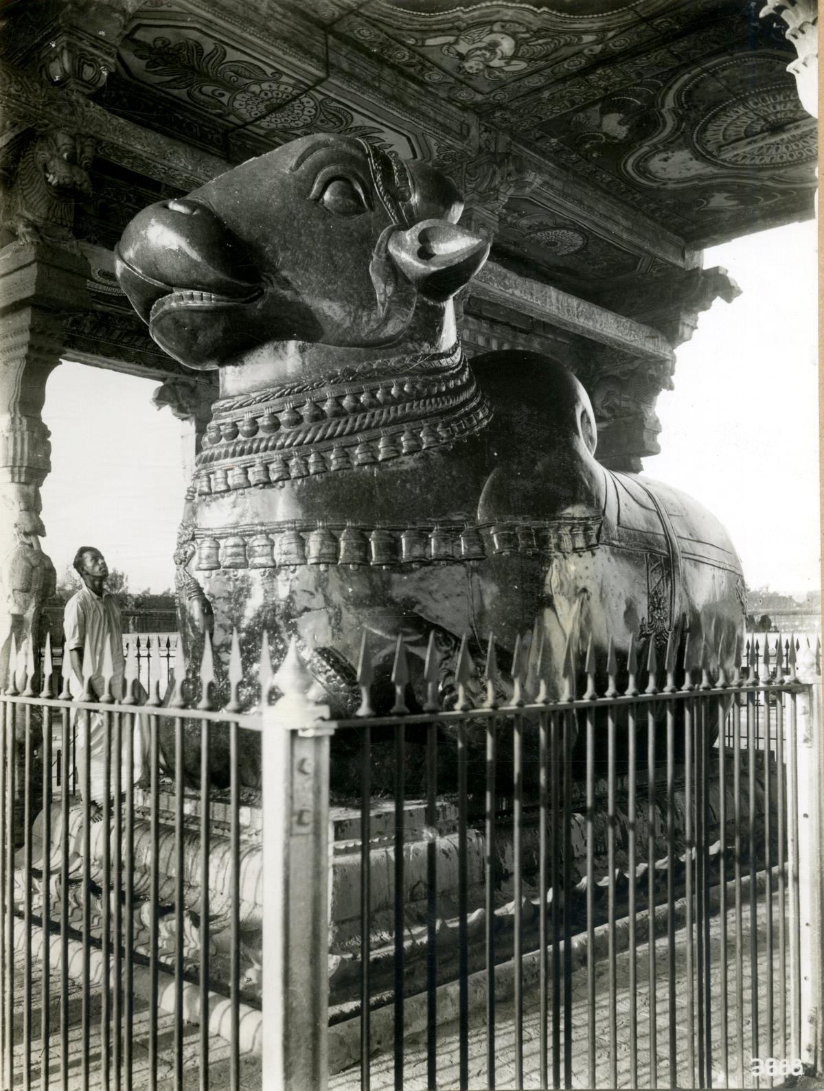 Big temple at 'Nandi' (bull) big temple in Thanjavur.