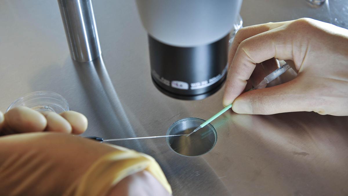 Male infertility is behind 1 in 3 IVF cycles