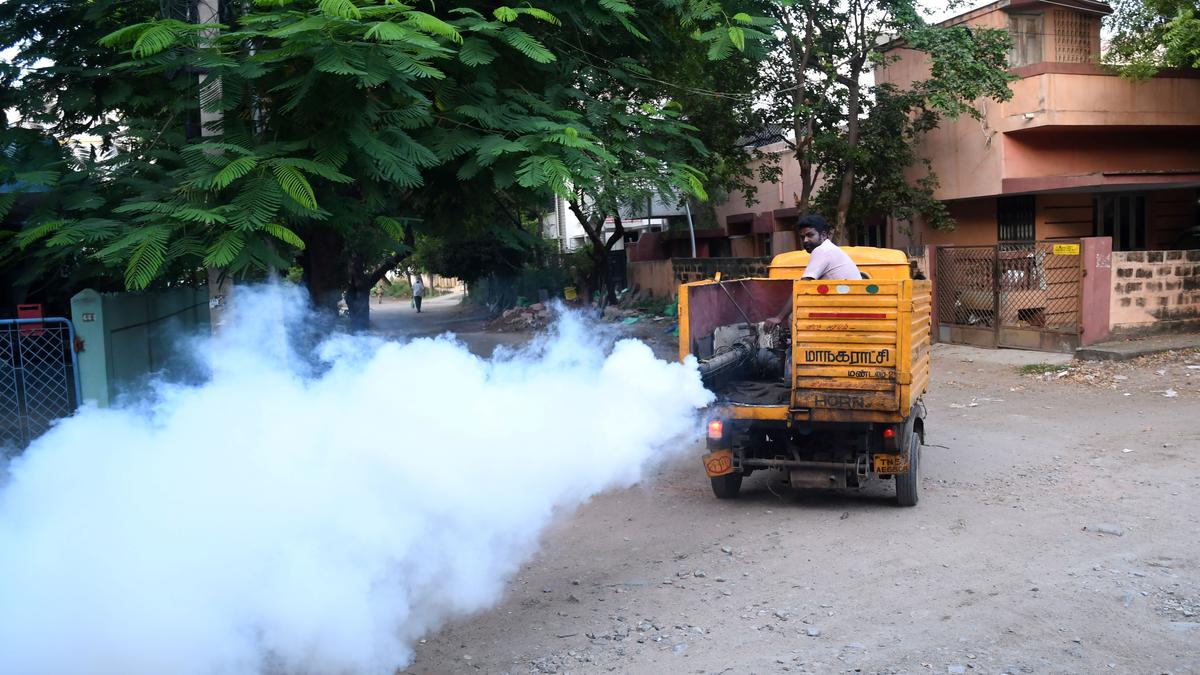 Mosquitoes find their way to breed, despite fogging The Hindu