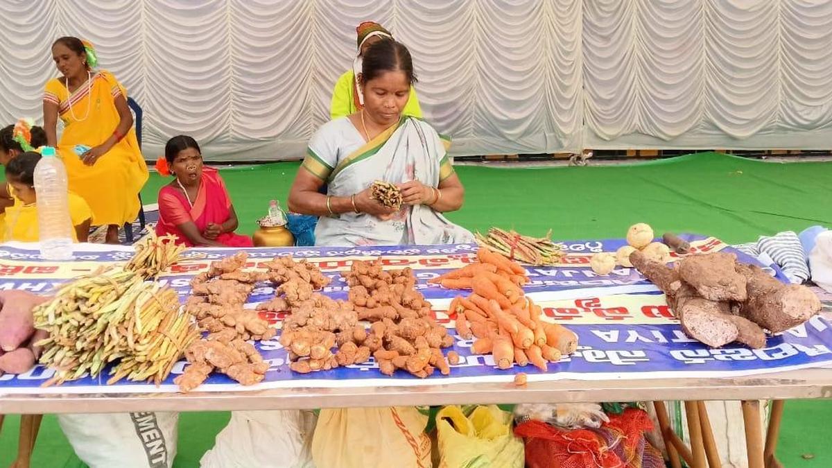 Janjatiya Gaurav Diwas: Tribal events begin in Vizag