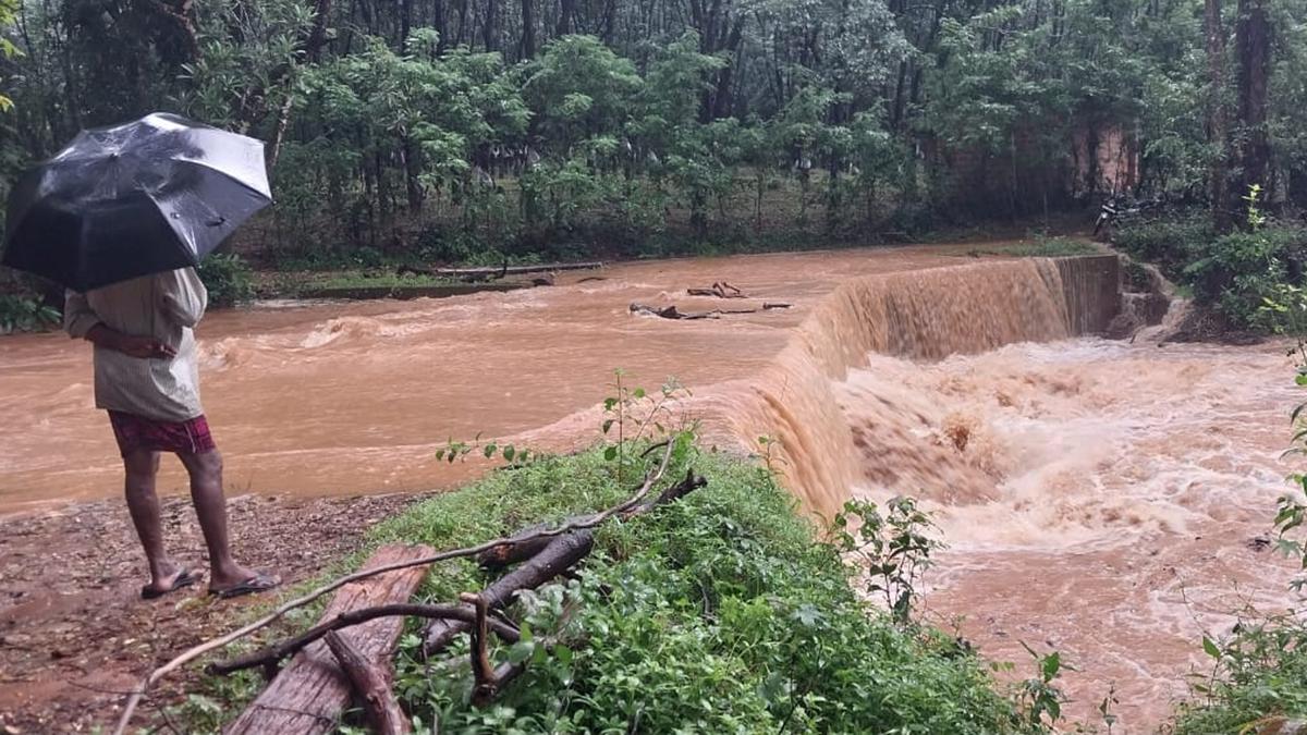 Holiday for schools in DK, Udupi extended; one more rain-related death reported in DK