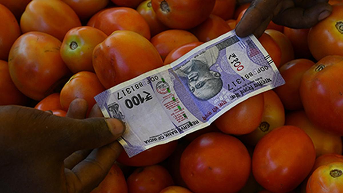 Rupee settles 5 paise lower at 83.73 against U.S. dollar