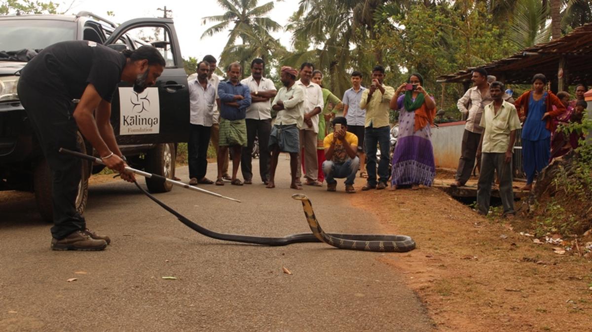 Gowri Shankar believes that training and outreach are essential for conservation.