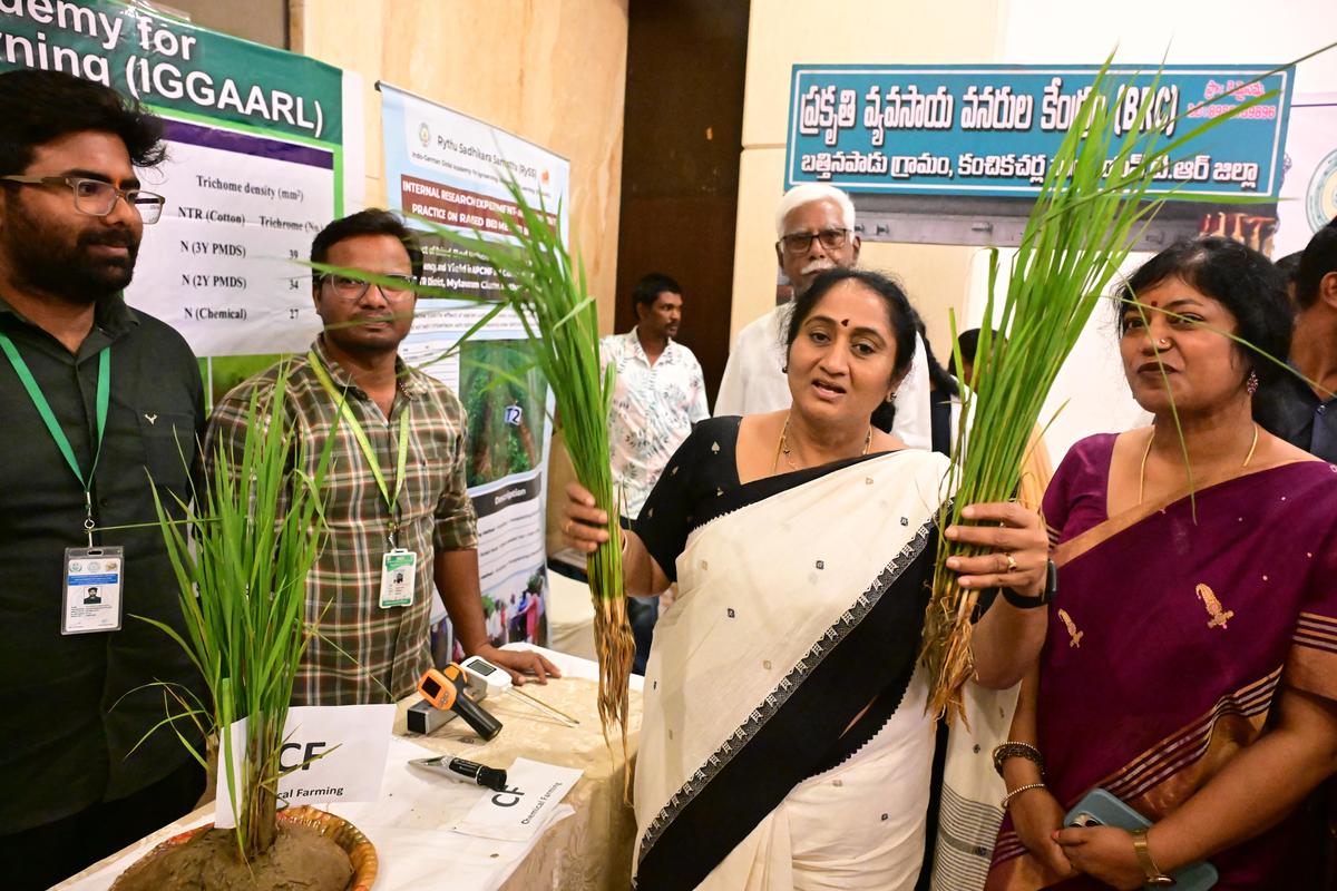 thehindu.com - The Hindu Bureau - Natural farming can make agriculture profitable and sustainable, says Minister