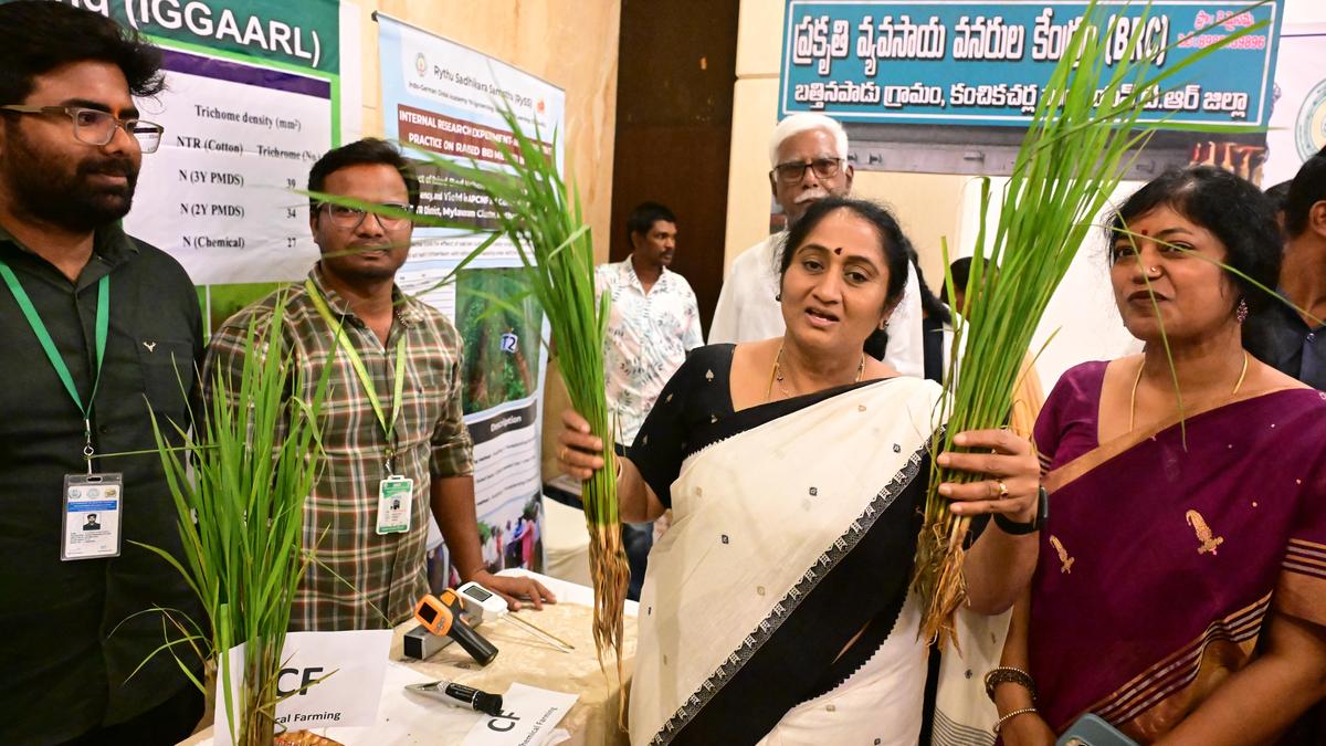 Natural farming can make agriculture profitable and sustainable, says Minister