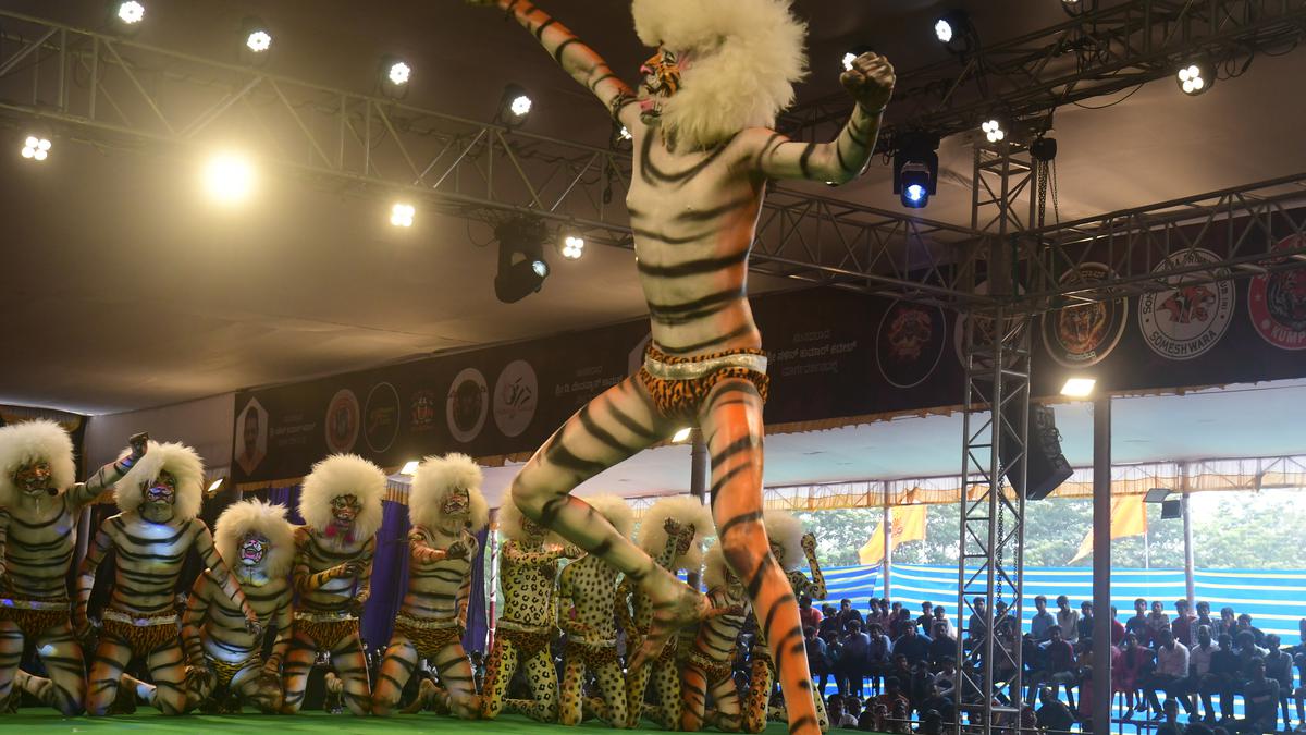 Amid beating of ‘taase’ human tigers dance to tunes of bandset at ‘Pili Parba’ in Mangaluru