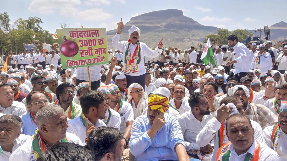 In fresh protest, onion farmers demand procurement rate of ₹2,400 per quintal