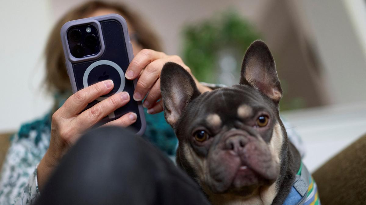 thehindu.com - The Hindu Bureau - Looking back: 2025's biggest tech, internet and gadget stories