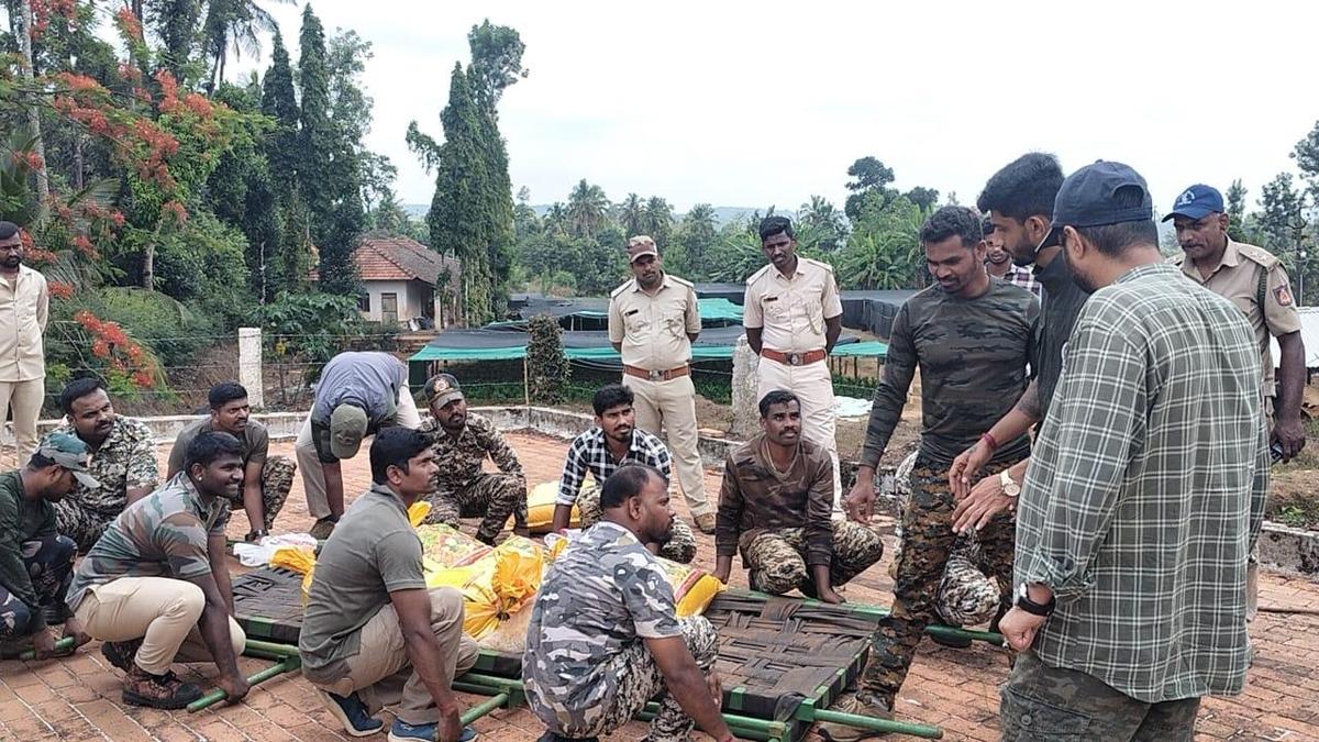 Operation to capture and relocate Indian gaurs in Chikkamagaluru: No progress on the first day due to rains