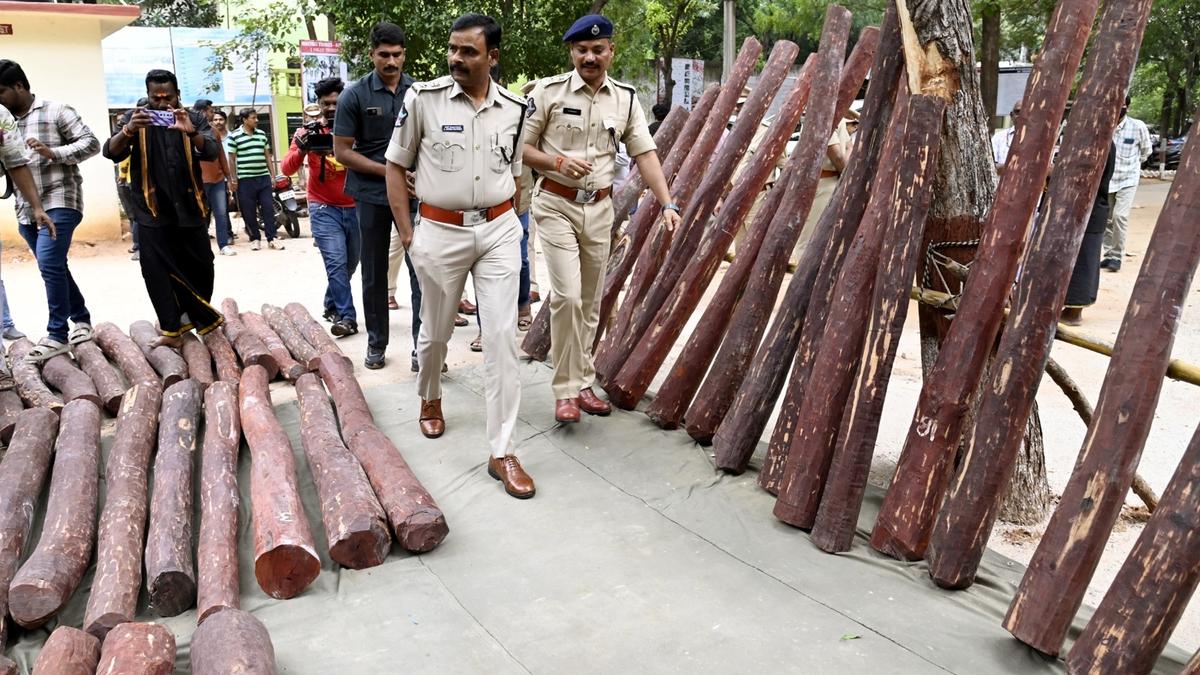 Anti-smuggling task force gets a tech boost to save precious red sanders in Andhra Pradesh