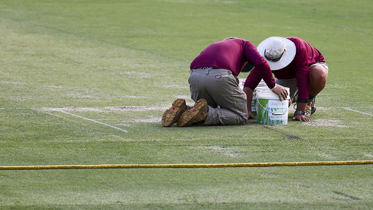 Gabba pitch to have traditional pace and bounce: Pitch curator