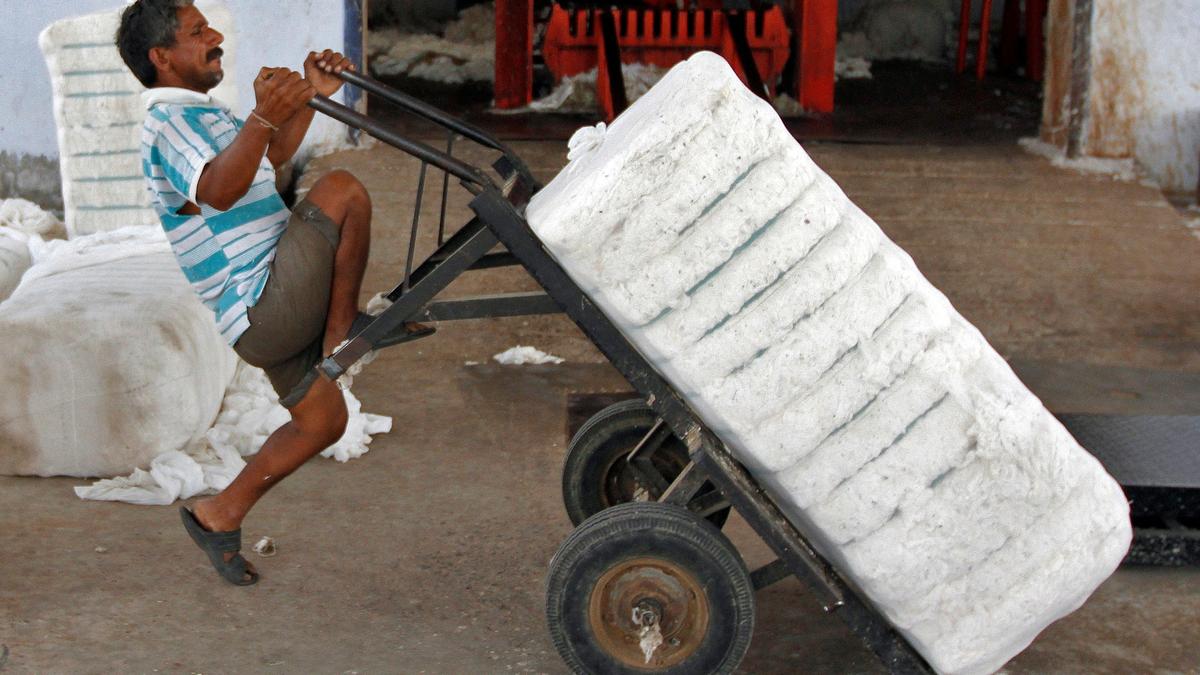 Scrapping cotton import duty will push farmers into distress: Samyukt Kisan Morcha
