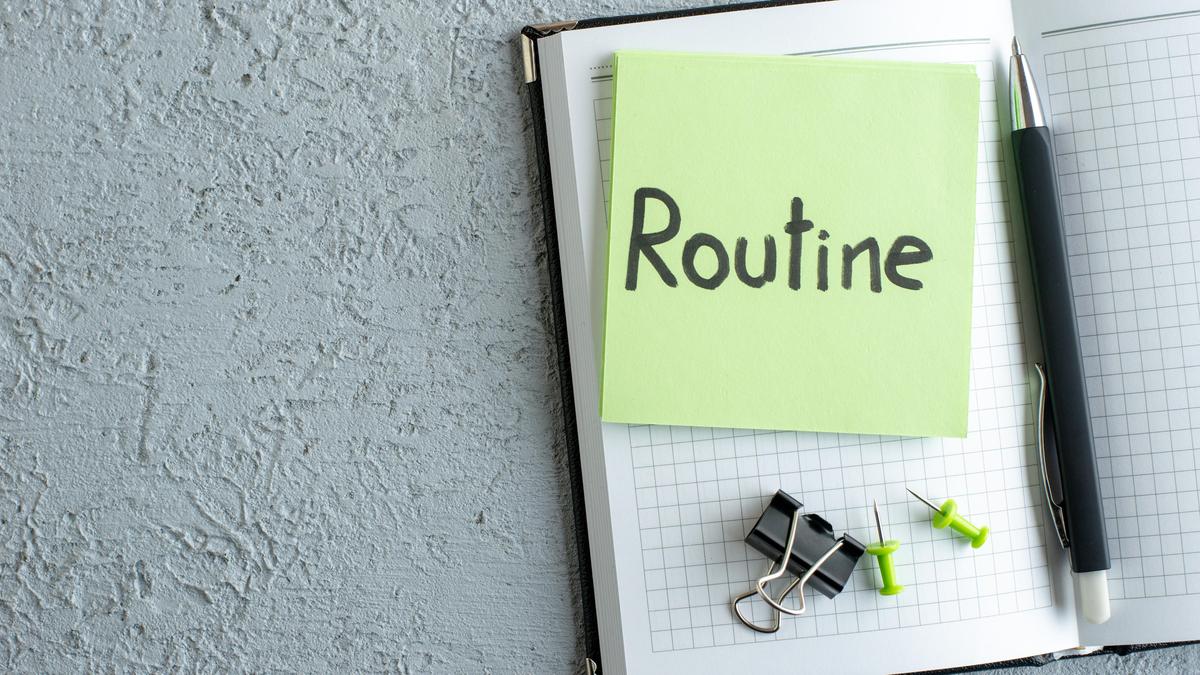 Actions without excessive thinking: How does our brain form habits?