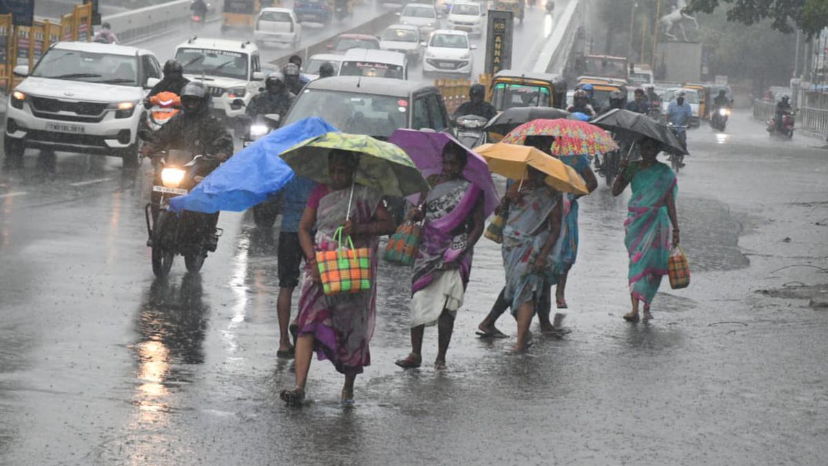In Frames | Chennai rains