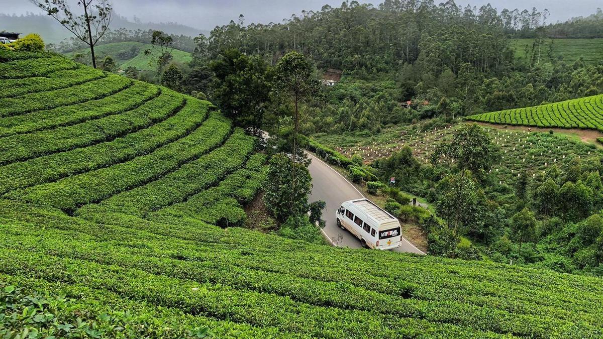 Tourist’s video on ill treatment by taxi drivers at Munnar sparks concern