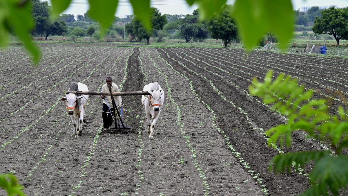 Telangana Government to credit ₹1 lakh into loan accounts of farmers under Crop Loan Waiver Scheme 2024