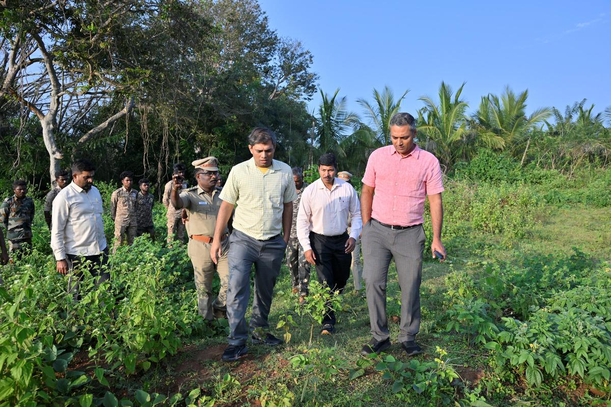 R. Kiruba Shankar, Diretor de Campo da Reserva de Tigres de Mudumalai, junto com outros funcionários inspecionando o local em 26 de novembro de 2025, onde uma mulher tribal septuagenária foi atacada por um tigre em Mavanallah, nos Nilgiris