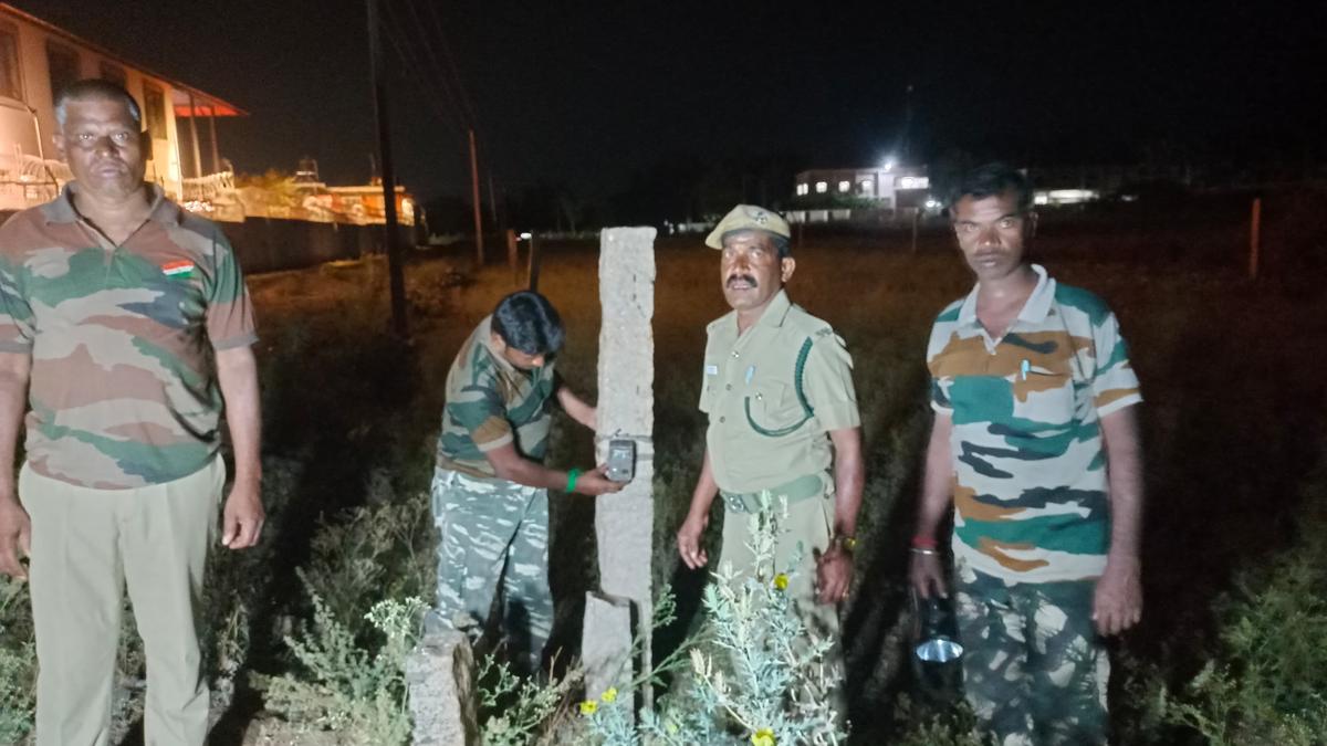 Camera traps placed as carnivore kills four goats in village near Coimbatore