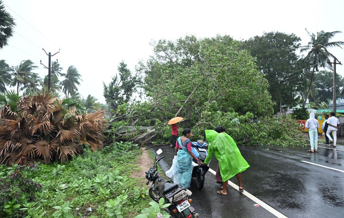 Owing to strong winds, a tree fell on Rameswaram road near Mandapam in Ramanathapuram district on November 28, 2025