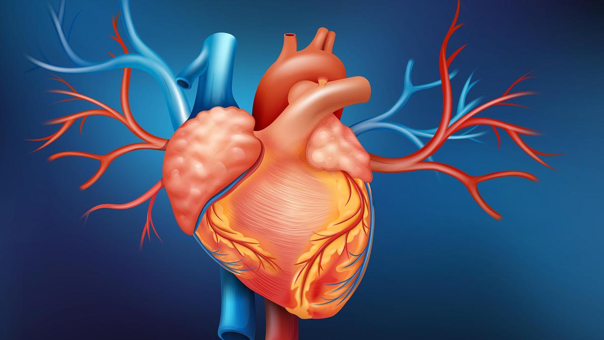 Data regarding heart-attack cases not maintained centrally: govt