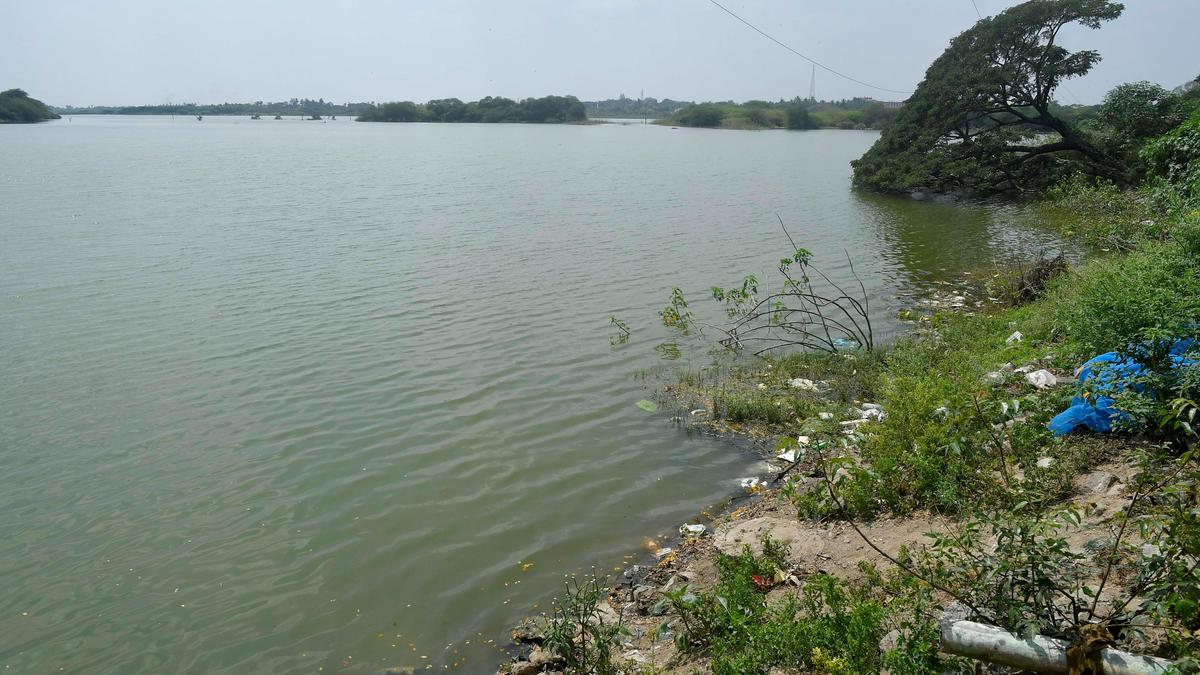 Disappointed over confusion post bifurcation, electors say with little development and strained civic infrastructure, Tirukkoyilur is totally neglected