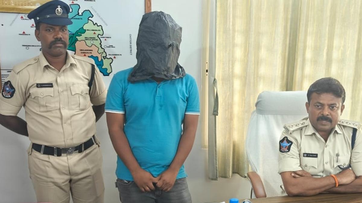 Realtor held for duping a U.S. citizen of ₹12.5 crore