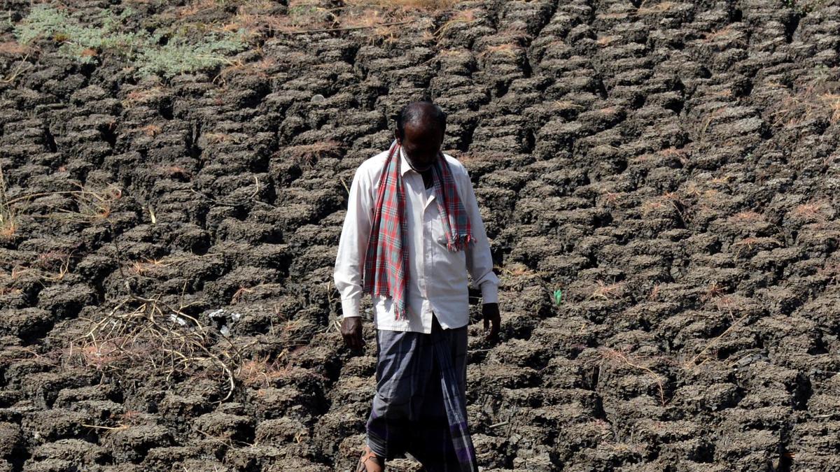 Karnataka likely to declare drought on September 4