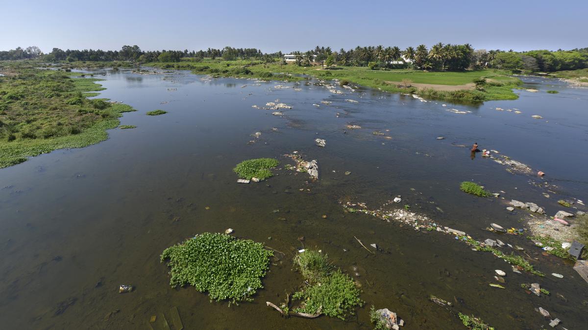 Farmers in Cauvery basin districts upset over restrictions imposed on use of water