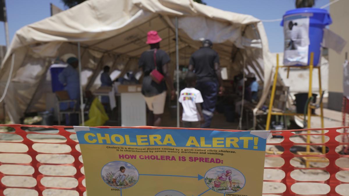 UN approves an updated cholera vaccine that could help fight a surge in cases